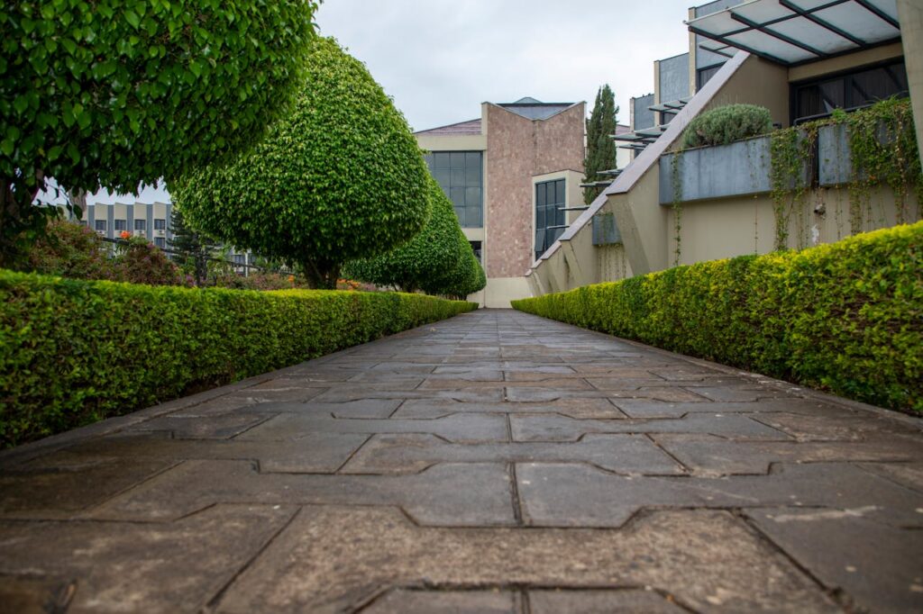 The Art of Drawing Readers In: Your attractive post title goes here A symmetrical pathway flanked by neatly trimmed hedges leading to a modern building facade.